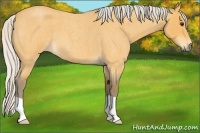 Horse Color:Silver Buckskin Roan 