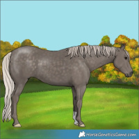 Horse Color:Silver Black 