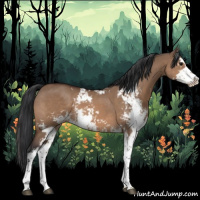 Horse Color:Brown Dun Sabino 
