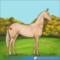 Horse Color:Chestnut Pearl 