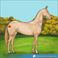 Horse Color:Chestnut Pearl 