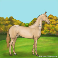 Horse Color:Chestnut Pearl 