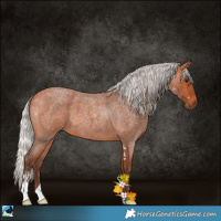 Horse Color:Silver Bay Roan Sabino 