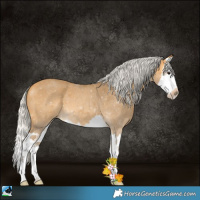 Horse Color:Silver Buckskin Roan Sabino Splash