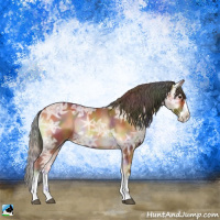 Horse Color:Nacre Bay Ice Onyx Sabino Splash