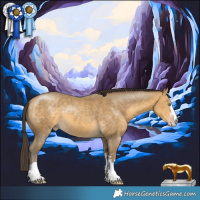 Horse Color:Sable Cream Champagne 