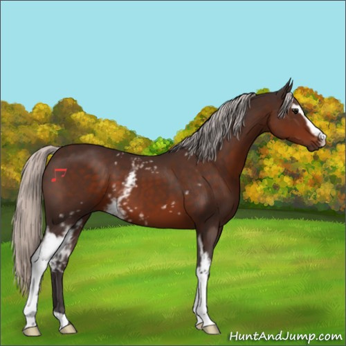 Horse Color:White Spotted Silver Brown 