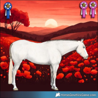 Horse Color:Perlino Roan