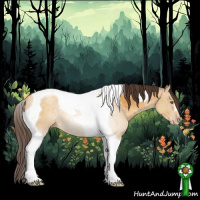 Horse Color:Sable Cream Champagne Tobiano 