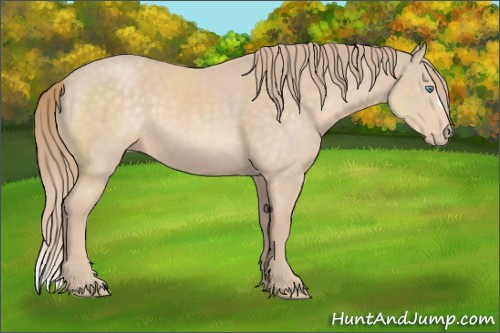 Horse Color:Perlino 