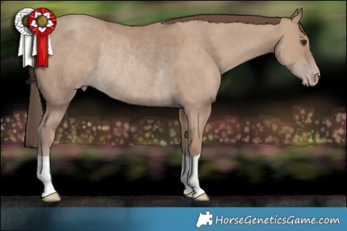Horse Color:Classic Champagne Rabicano 