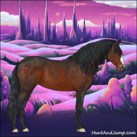 Horse Color:Brown Appaloosa 