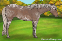 Horse Color:Silver Buckskin Ice
