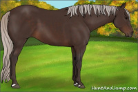 Horse Color:Silver Brown 