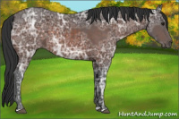 Horse Color:Brown Ice