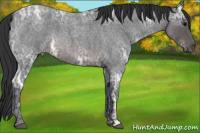 Horse Color:Brown Ice Roan 