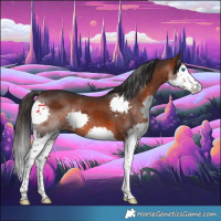 Horse Color:Brown Splash 