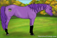 Horse Color:Watercolor Grullo Roan 