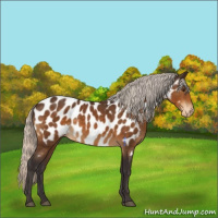 Horse Color:Silver Buckskin Near Leopard 