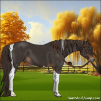 Horse Color:Liver Chestnut Tobiano 