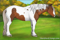 Horse Color:Silver Buckskin Tobiano