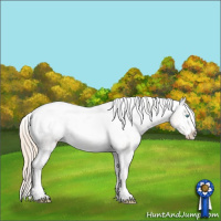 Horse Color:Perlino Varnish 