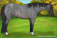 Horse Color:Brown Roan
