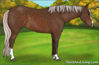 Horse Color:Silver Buckskin Sabino