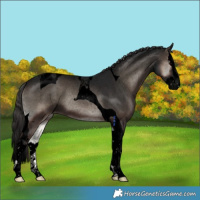 Horse Color:Void Blue Onyx Sabino Splash Tobiano Varnish 