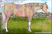 Horse Color:Nacre Silver Amber Champagne 