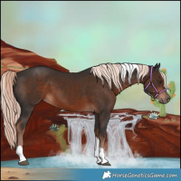 Horse Color:Liver Chestnut Mushroom Tobiano 