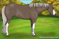 Horse Color:Silver Black 