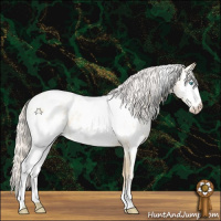 Horse Color:White Spotted Silver Amber Cream Champagne Roan Pearl Appaloosa 