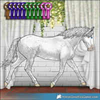 Horse Color:White Spotted Silver Amber Champagne Splash Appaloosa Rabicano 