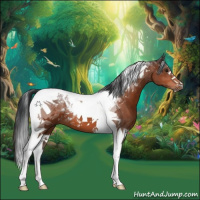Horse Color:Brown Tobiano 