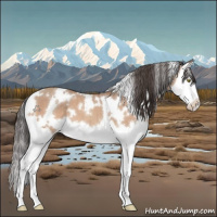 Horse Color:White Spotted Sable Champagne Splash 