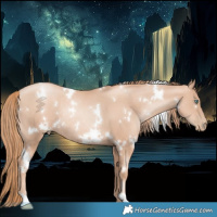 Horse Color:White Spotted Gold Champagne Pearl Rabicano 