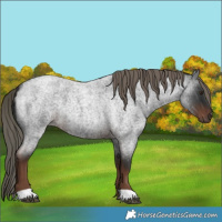 Horse Color:Liver Red Roan Mushroom 