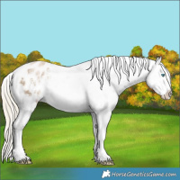 Horse Color:Chocolate Palomino Ice Pearl Mushroom Sabino Tobiano Appaloosa Rabicano