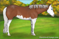 Horse Color:Silver Bay Splash 