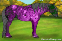 Horse Color:ERROR: UNKNOWN ANOMALY