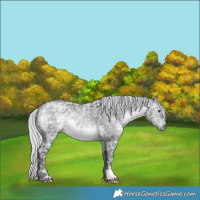 Horse Color:Silver Brown Chinchilla Ice 