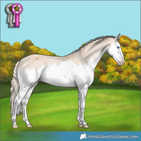Horse Color:Palomino Splash Varnish