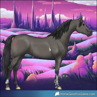 Horse Color:Grullo Tobiano 