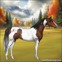 Horse Color:Brown Tobiano Rabicano