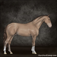 Horse Color:Classic Champagne 