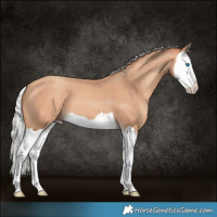 Horse Color:Silver Amber Champagne Splash