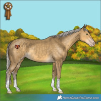 Horse Color:Silver Classic Cream Champagne 