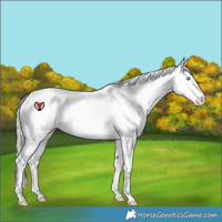 Horse Color:Silver Perlino Dun Splash Tobiano
