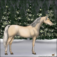 Horse Color:Silver Grullo Pearl 